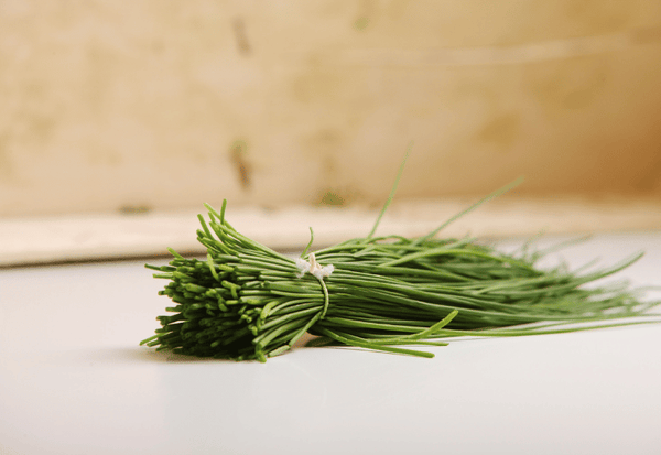 シブレットとは？料理を彩る万能ハーブの魅力