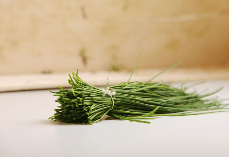 シブレットとは？料理を彩る万能ハーブの魅力