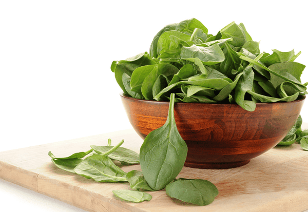 緑黄色野菜の王様！ほうれん草の栄養、調理法、保存方法を徹底解説