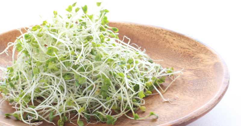 スプラウトブロッコリー