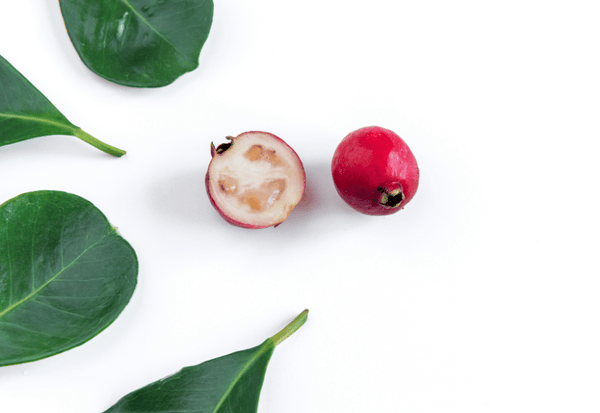 ストロベリーグアバとは？魅惑の熱帯フルーツの正体と楽しみ方