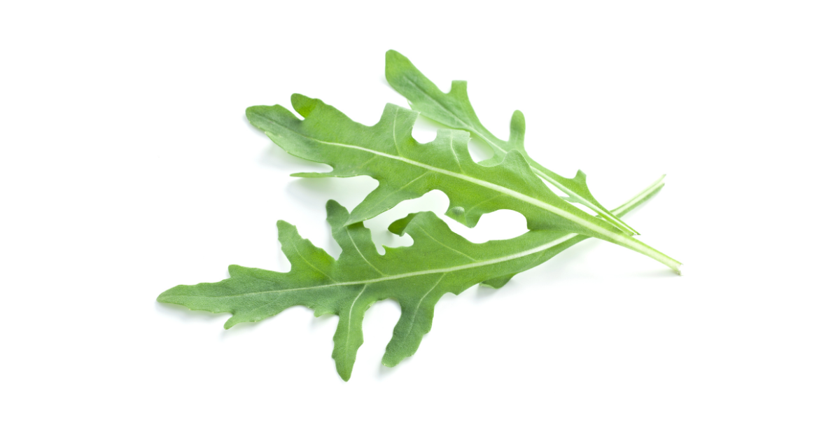 ルッコラ食べ過ぎると