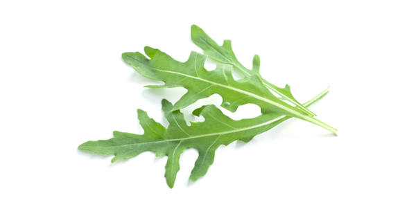 ルッコラ食べ過ぎると