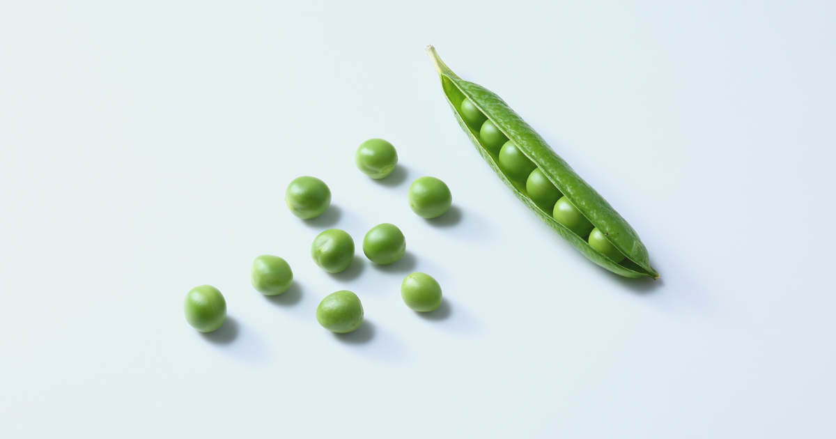 スナップエンドウの育て方