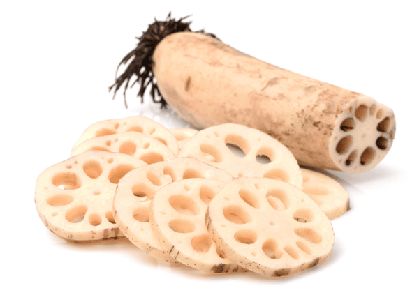 れんこんの保存方法完全ガイド：冷蔵でシャキシャキ食感を保つ秘訣