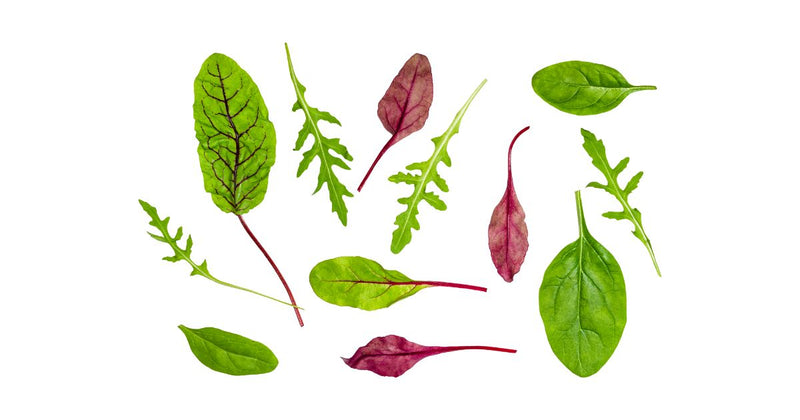 葉物野菜冷凍