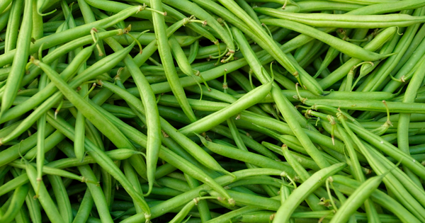 さやいんげん いんげん 違い