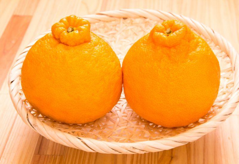 不知火みかん - スイーツモール