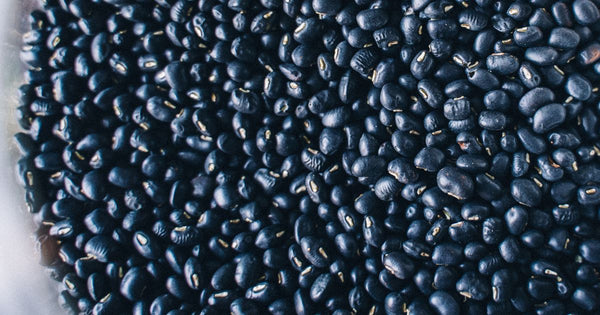 黒豆茶の効果：美容と健康をサポートする秘密