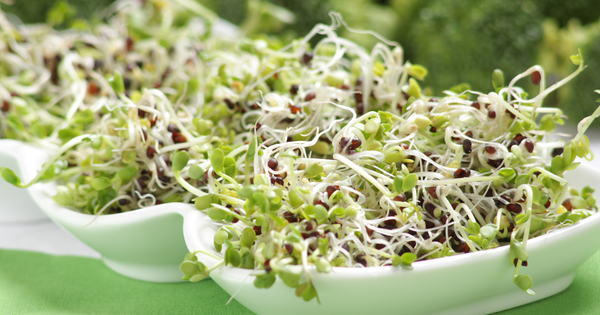ブロッコリースプラウトの栄養価：知られざるスーパーフードの秘密と活用法