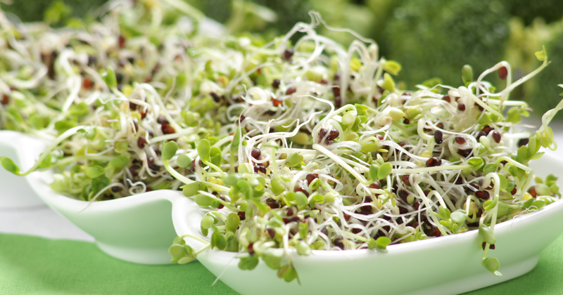 ブロッコリースプラウトの栄養価：知られざるスーパーフードの秘密と活用法