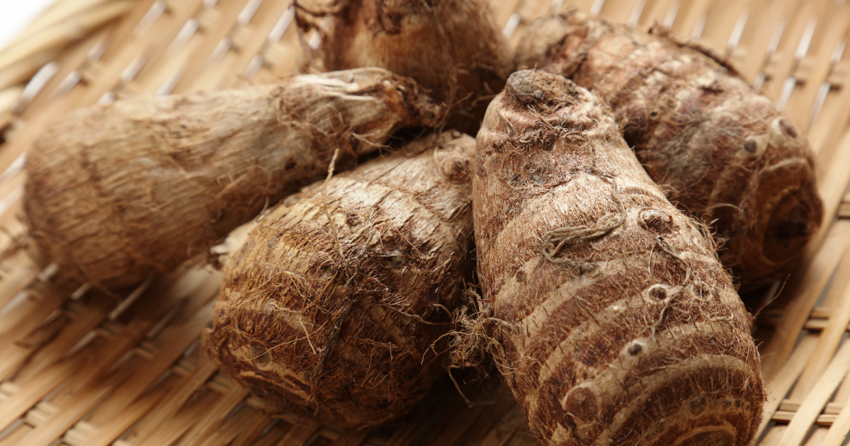 おせちを彩る、二つの里芋煮しめ：亀甲里芋の白煮と直煮のレシピ