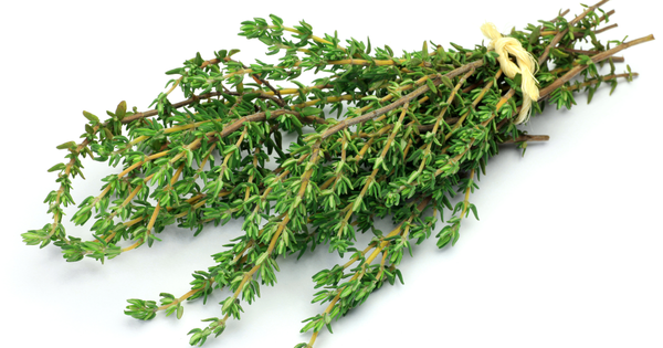 タイムハーブ：育て方から活用法まで、あなたのガーデンを豊かにする万能ハーブ