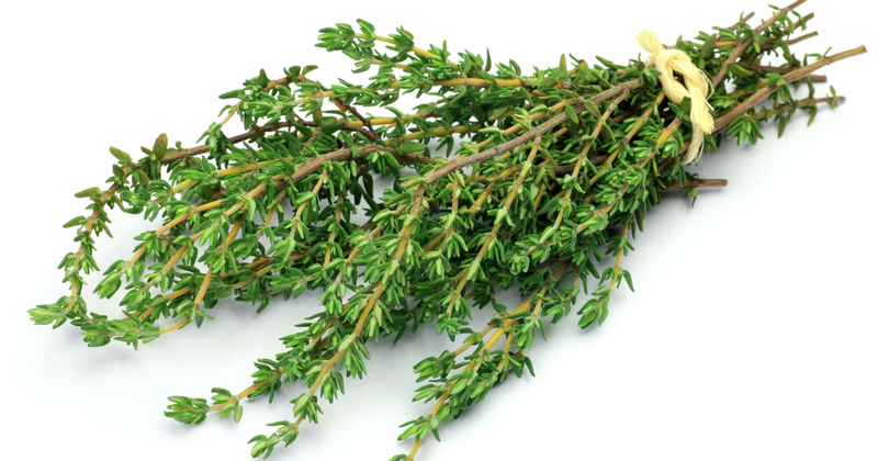 タイムハーブ：育て方から活用法まで、あなたのガーデンを豊かにする万能ハーブ