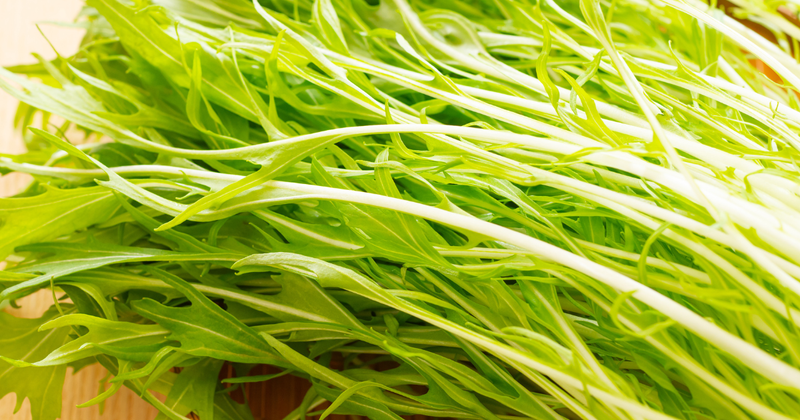 水菜の種まき時期：プランター栽培で新鮮な味を食卓へ！