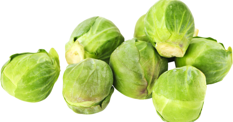 芽キャベツとキャベツの違いとは？栽培方法から栄養まで徹底比較