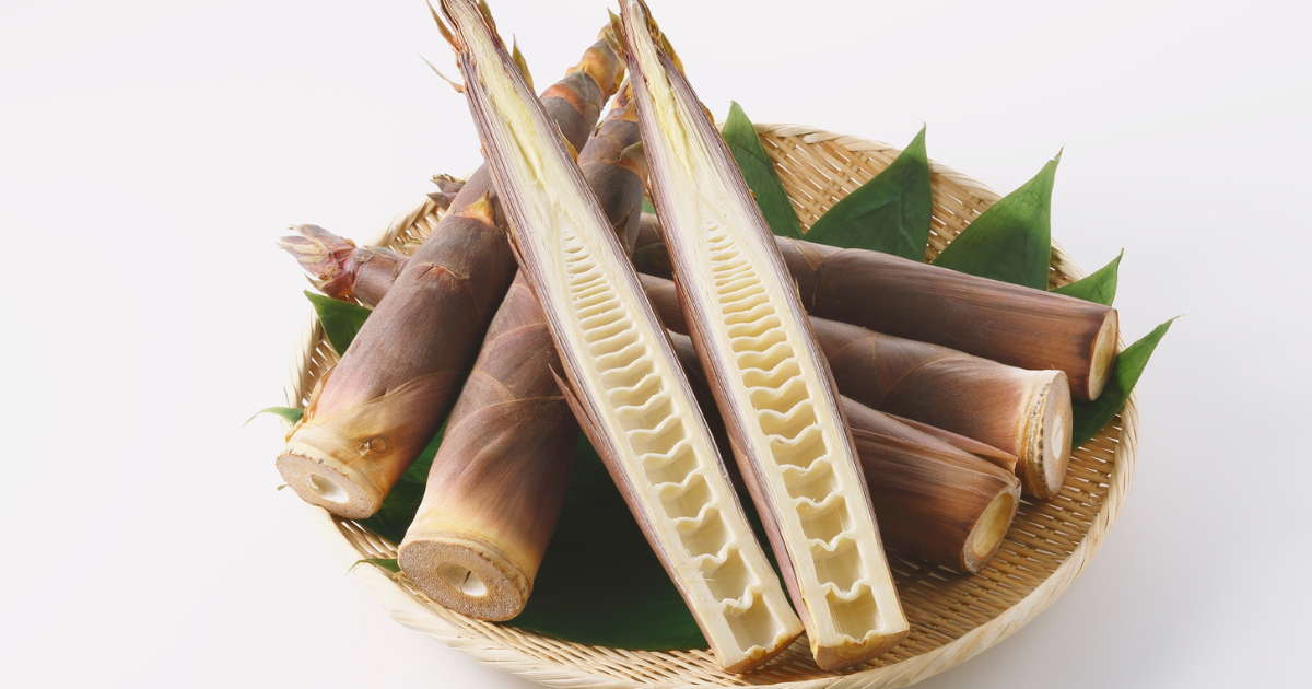 淡白でシャキシャキ!細いタケノコの食べ方 はちく(淡竹)の特徴、孟宗竹との違い、下処理・保存方法から絶品レシピまで徹底解説