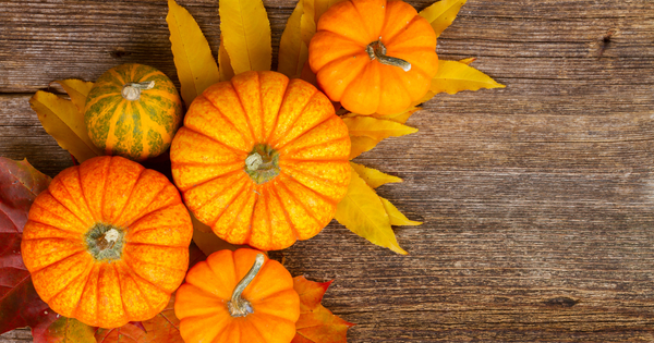 かぼちゃの栄養を徹底解剖！種類・部位別の違いから効果的な食べ方まで