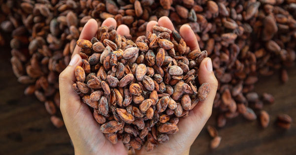 チョコレート効果72%でダイエットは成功する？カカオの力で賢く痩せる！