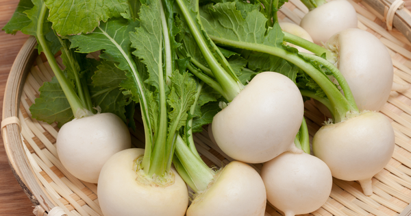 【完全網羅】カブ：育て方、栄養、品種、歴史、絶品レシピを徹底解説