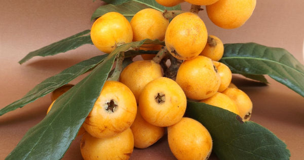 びわのカロリー徹底解剖！気になる栄養と効果的な食べ方