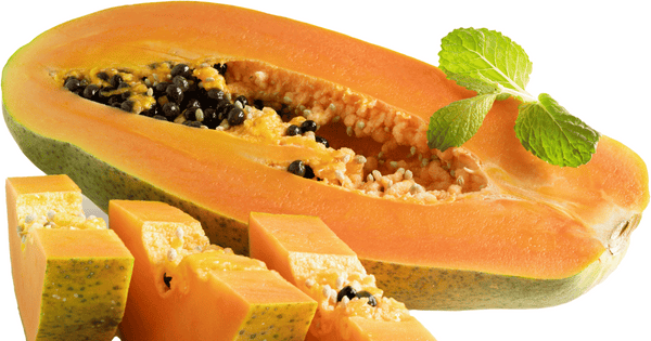 ポポー収穫時期と実がなるまでの年数：初心者向け栽培ガイド