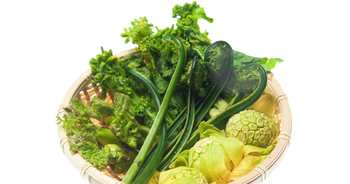 菜花（なばな）のすべて：種類、味わい方から、イタリア野菜まで徹底解剖