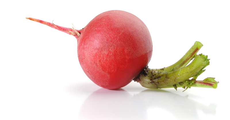 はつか大根をまるごと楽しむ！彩り豊かな食べ方レシピ集