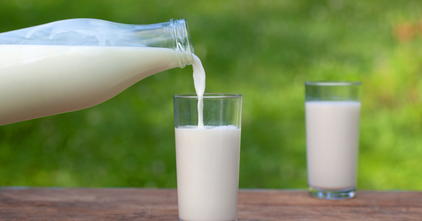 賞味期限切れの牛乳はいつまで飲める？安全な活用法と見分け方を徹底解説