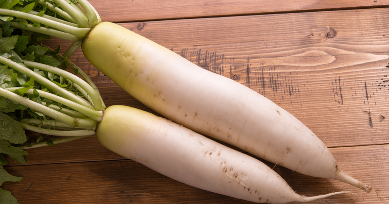 新鮮でおいしい大根の選び方：もう選び方で迷わない！