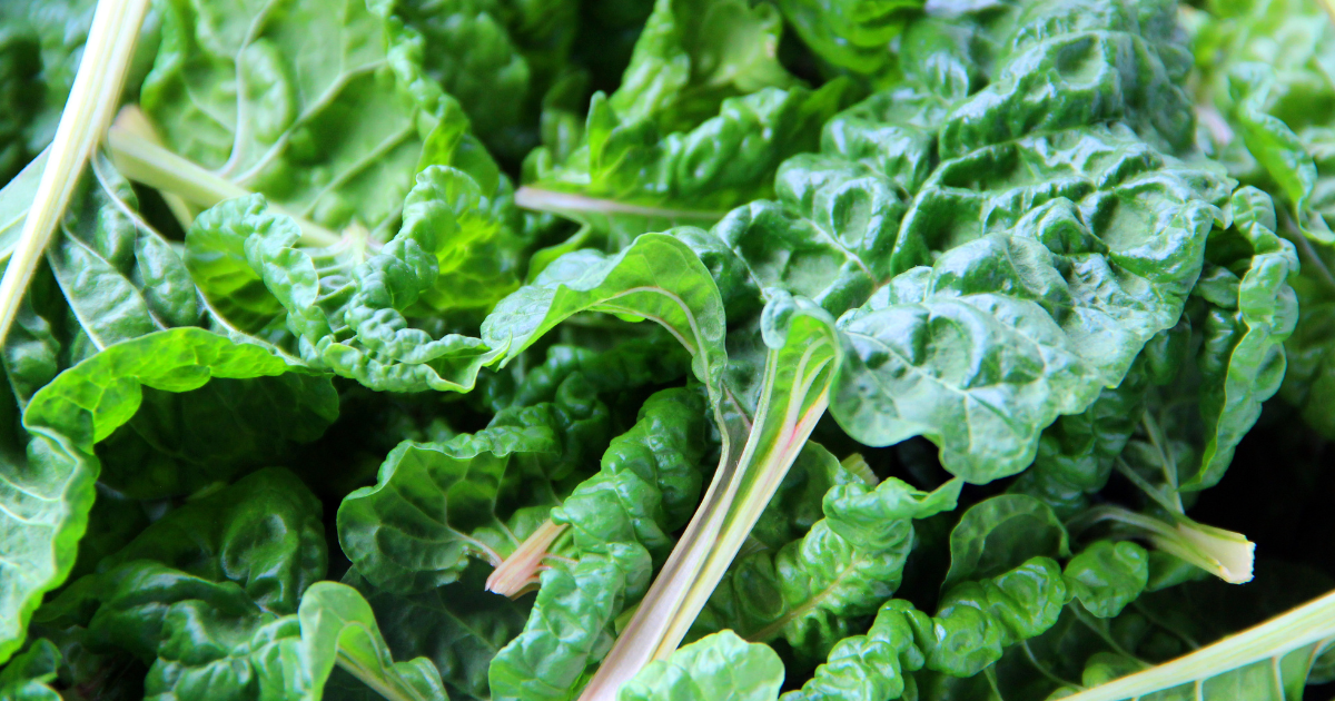 【うまい菜（ふだん草）】特徴、旬、栄養、絶品レシピ、保存方法を徹底解剖！スイスチャードとの違いも解説