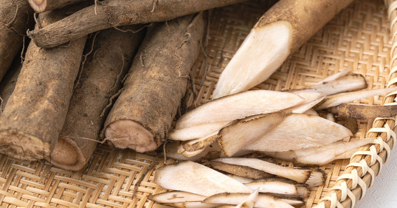 家庭菜園で挑戦！ごぼう栽培の完全ガイド：土作りから収穫、トラブル対策まで