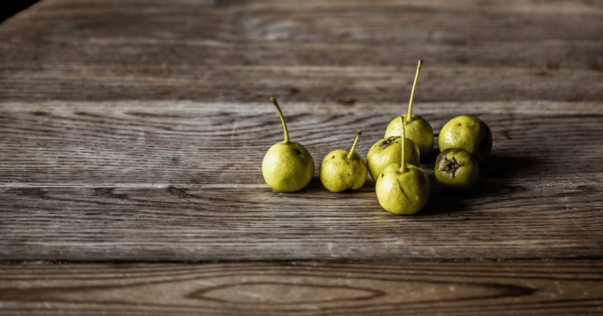 ヤマナシの魅力：小さくても食べられる野性味あふれる果実