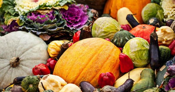 10月 に植える野菜