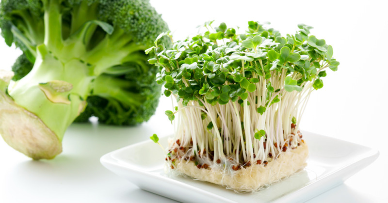 ブロッコリースプラウト日持ち