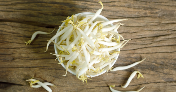 もやし冷凍日持ち