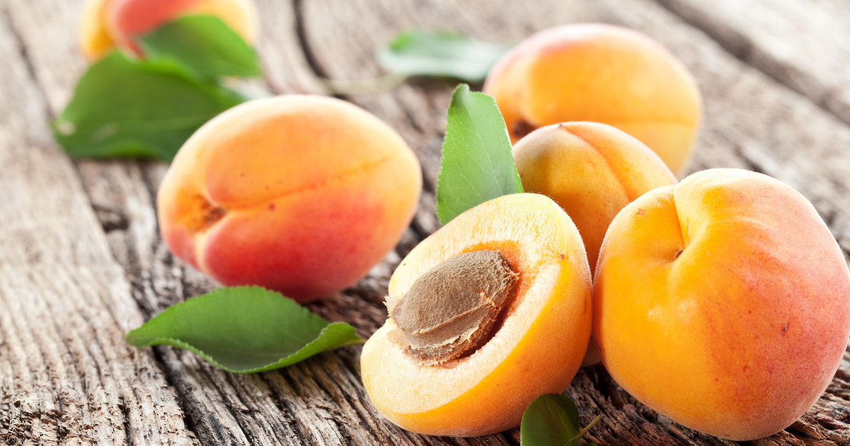 杏の旬：時期ごとの楽しみ方と関連キーワード徹底ガイド