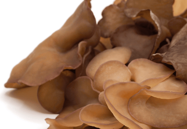 生キクラゲの基礎知識：日持ちと鮮度維持の重要性