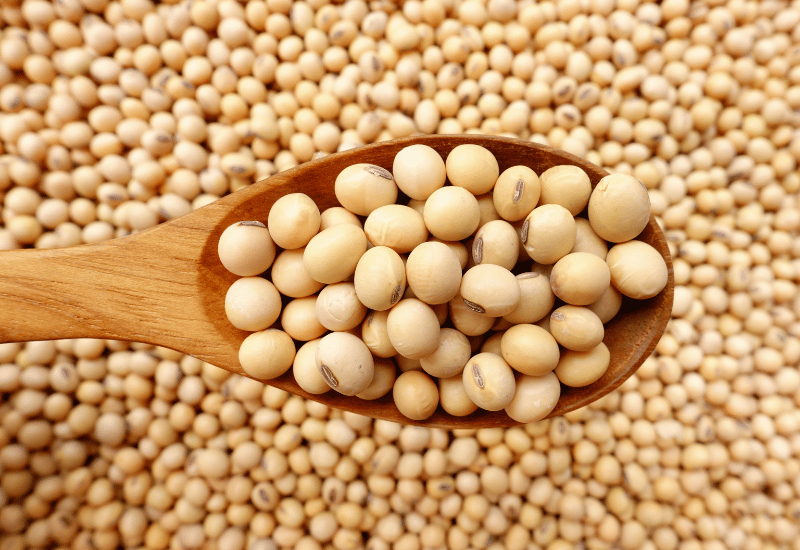 かゆみを 抑える 食べ物