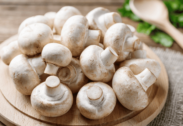 知られざるマッシュルームの効能