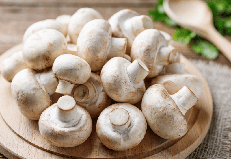 知られざるマッシュルームの効能