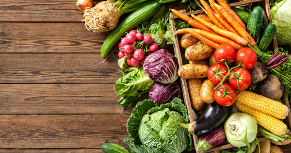 7月に種まきできる野菜：家庭菜園でまだ間に合う！