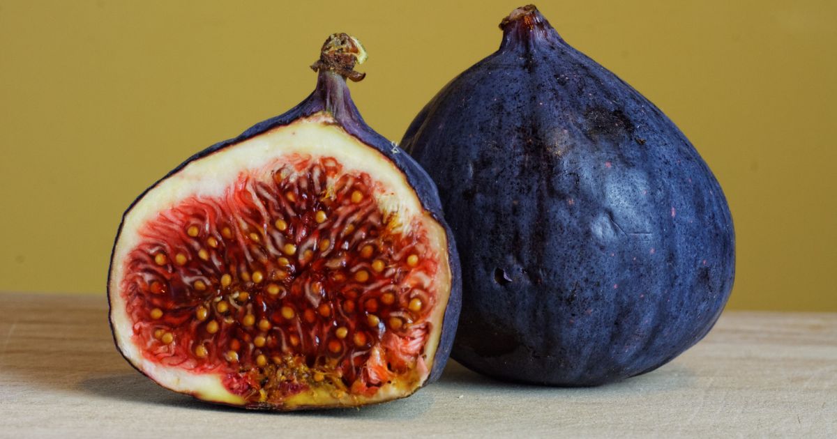 イチジク品種ランキング：甘さ、育てやすさ、珍しさ別おすすめ品種を紹介！