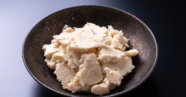 酒粕酵母で始める自家製パン：作り方から活用法、元種まで徹底解説