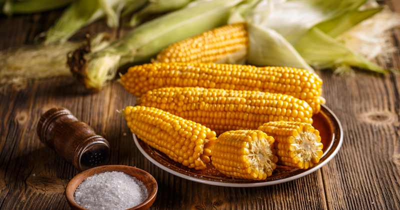 家庭菜園で甘いとうもろこしを育てる！植え方から収穫までの完全ガイド