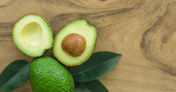 アボカドの種から育てる！観葉植物として楽しむ栽培方法と実を収穫するコツ