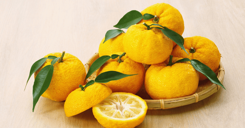 ゆずを長持ちさせる冷蔵保存術：新鮮な香りを逃さないための完全ガイド