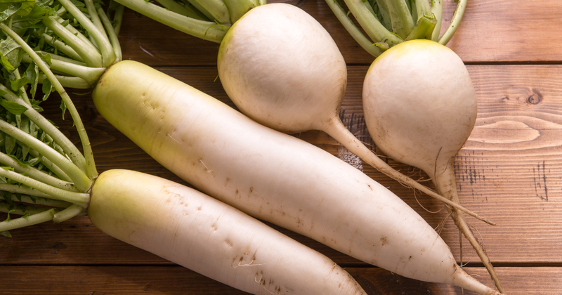 大根の種類を知り尽くす：特徴、育て方、おすすめレシピまで完全網羅