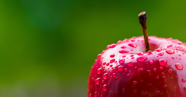 リンゴは野菜？果物？知っておきたい分類と栄養のヒミツ