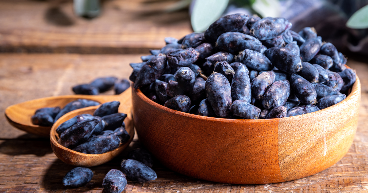 ハスカップを味わい尽くす！栄養満点な食べ方と保存方法を徹底解説